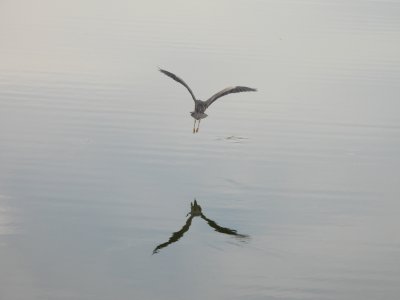 DSCN0196.jpg