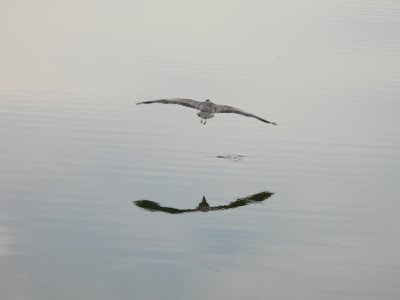 DSCN0197.jpg