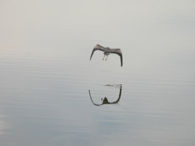 DSCN0198.jpg