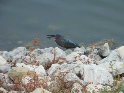 DSCN0471.jpg