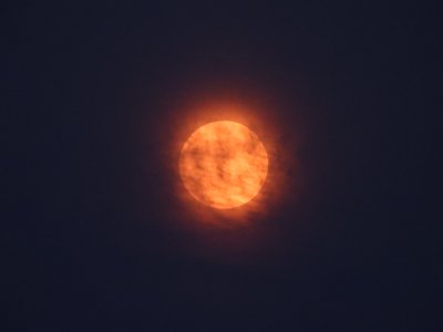 Earth's Moon, July 28, 2026