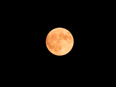 Earth's Moon, July 28, 2026